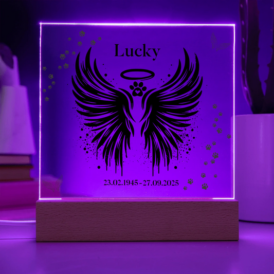 Acrylic Square with LED Base 8