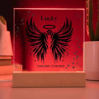 Acrylic Square with LED Base 9