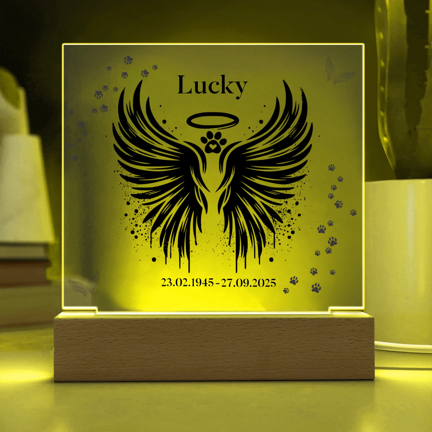 Acrylic Square with LED Base 13