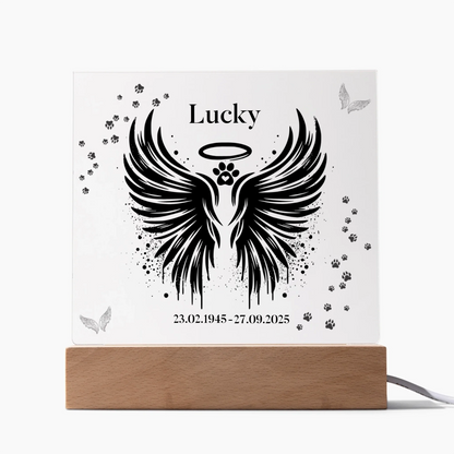 Acrylic Square LED 1