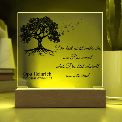 Acrylic Square with LED Base 13