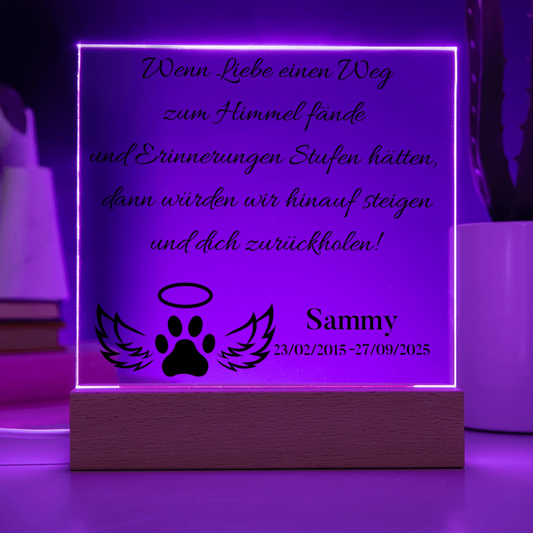 Acrylic Square with LED Base 8