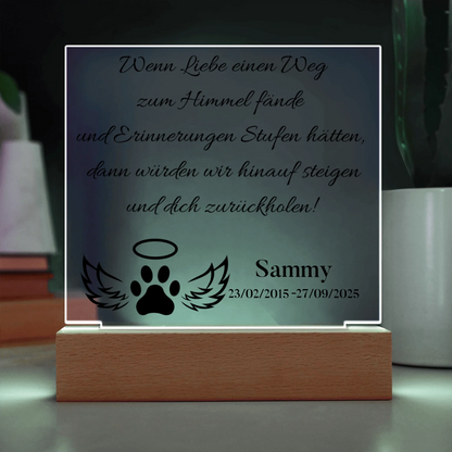 Acrylic Square with LED Base 9