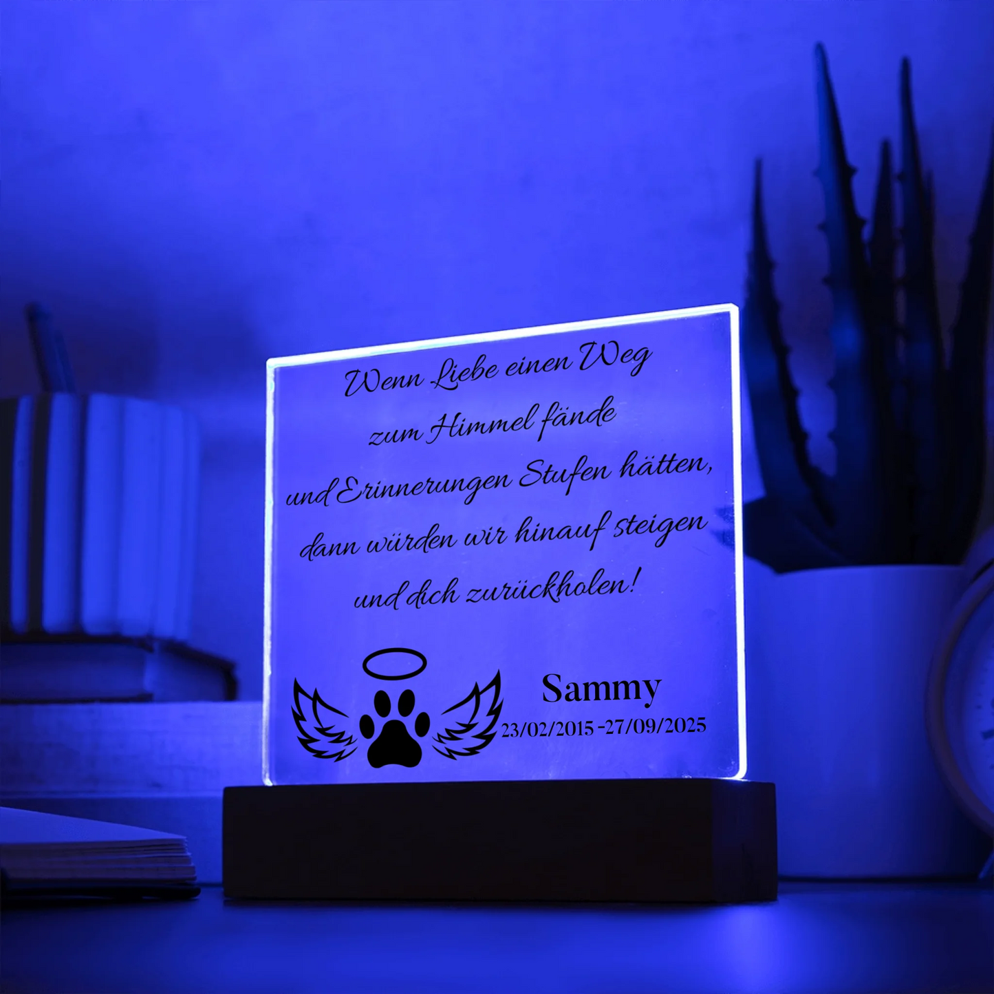 Acrylic Square LED 2