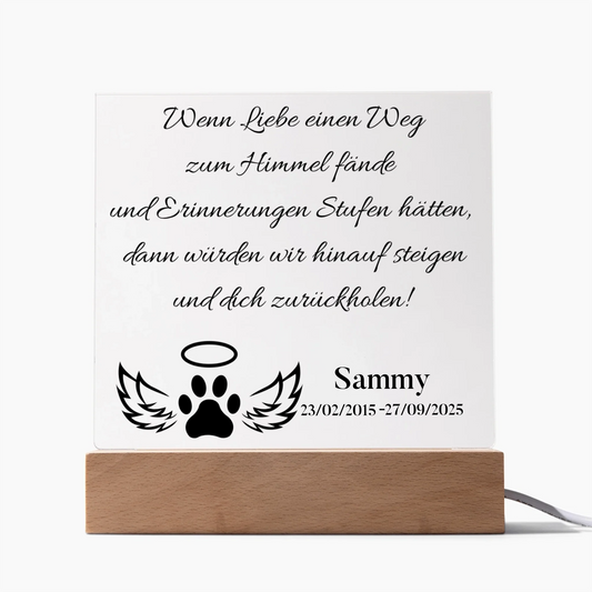 Acrylic Square LED 1