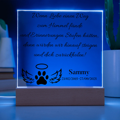 Acrylic Square LED 6